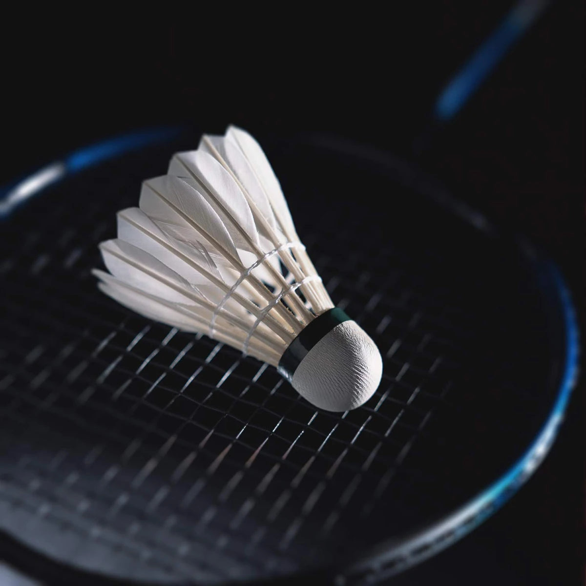 Badminton Birdies Feather Bedminton Shuttlecocks for Indoor and Outdoor Matches Highly Stable & Durable Shuttle Balls