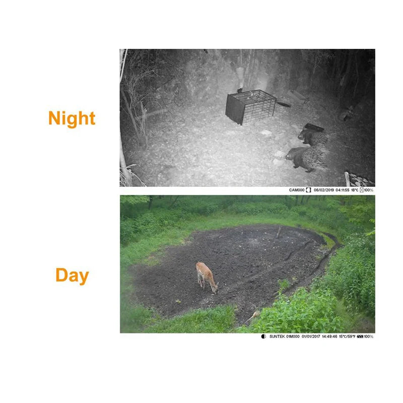 Digital Trail Camera Wildlife Camera Photo Traps Camera Waterproof IPX6 gs37-0038