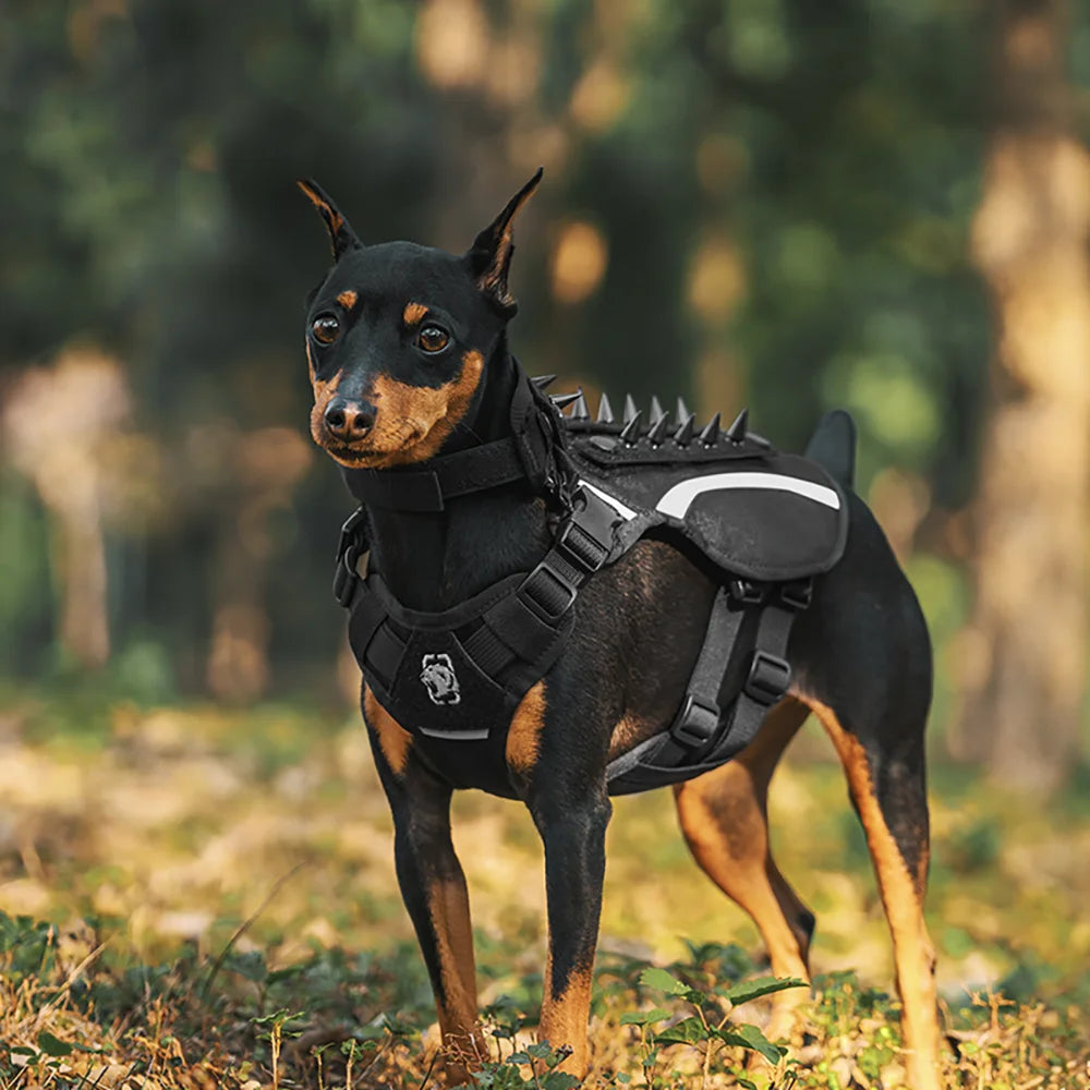 AQzxdc K9 Dog Harness Tactical Leash Vest-Style for Outdoor Walking Small and Medium-Sized Dogs